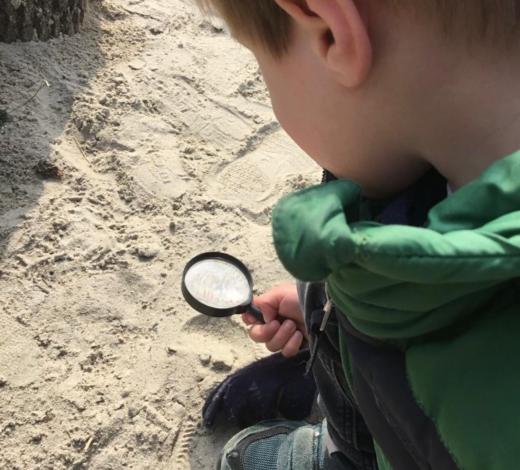 beestjes zoeken - Schakel.jpg